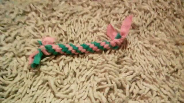 Подстилка для собаки , игрушка для собаки из подручных материалов,своими руками . смотреть онлайн