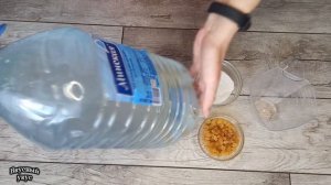 Шипучий напиток из березового сока | Квас из березового сока