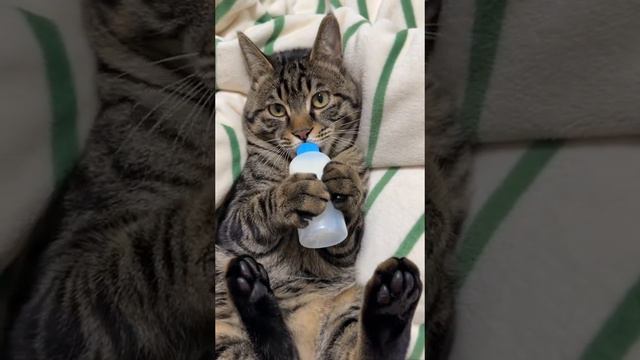 Малышок смотреть онлайн