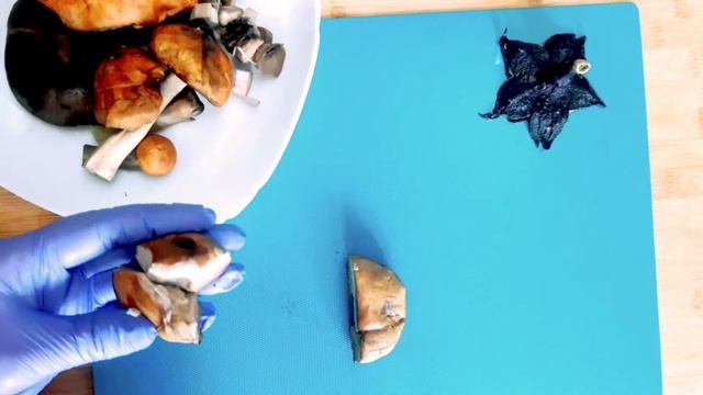 Вкусная еда для всех случаев жизни 