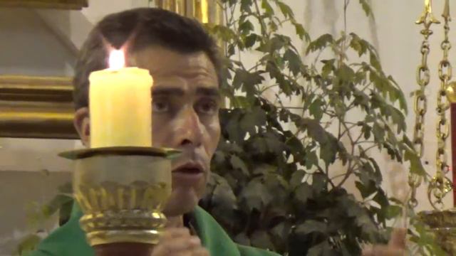 Parola Católica con Padre Carlos Alberto Rosell de Almeida: Reflejar la santa ley de Dios смотреть онлайн