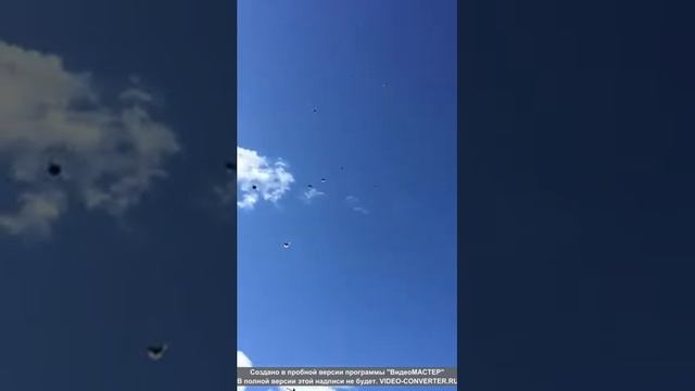 Николаевские голуби г. Донецк Ростовская обл. 8-928-157-47-05 Олег Петрович смотреть онлайн