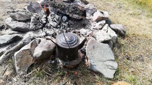 О травах и корешках - Красный и Золотой корень (Копеечник Забытый, Родиола Розовая)