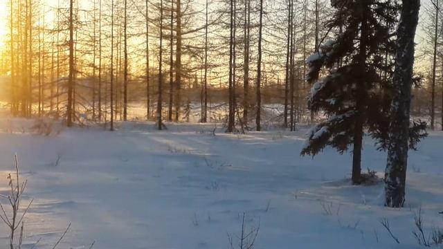 Старичок! SKI-DOO MXZ 583 смотреть онлайн