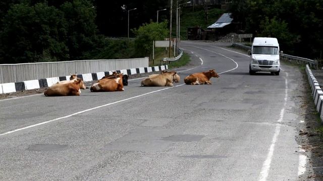 Из Средней Азии в Грузию. Часть 4 смотреть онлайн