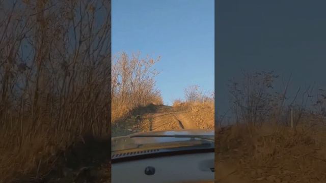 #жизнь как она есть и зачем #ожизни #философия смотреть онлайн