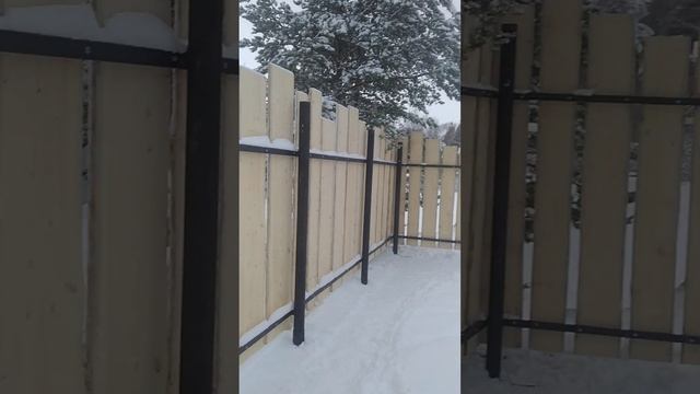 продолжаем забор из необрезной доски (Тёса) смотреть онлайн