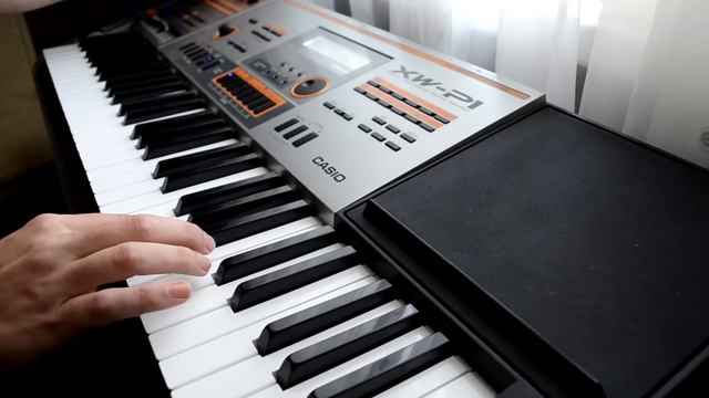 Casio XW-P1