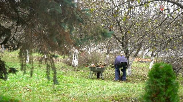 Псков и окрестности