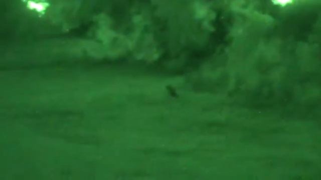 nv camera test cat смотреть онлайн