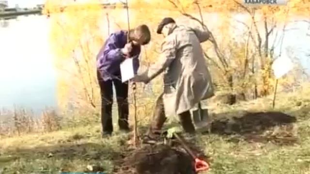 Амурский бархат поедет в Крым смотреть онлайн