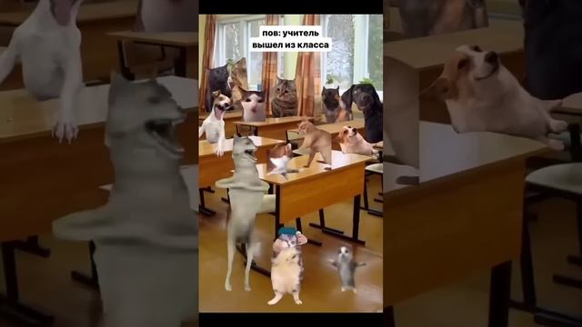 школа мем. смотреть онлайн