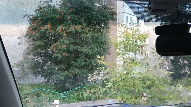 Suzuki SX4 (веерные форсунки омывателя) смотреть онлайн