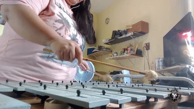 Sorry - Justin Bieber - Metalofone Cover смотреть онлайн