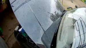 ХЕНДАЙ АКЦЕНТ. КАК ПРОВЕРИТЬ ЗВУКОВОЙ СИГНАЛ