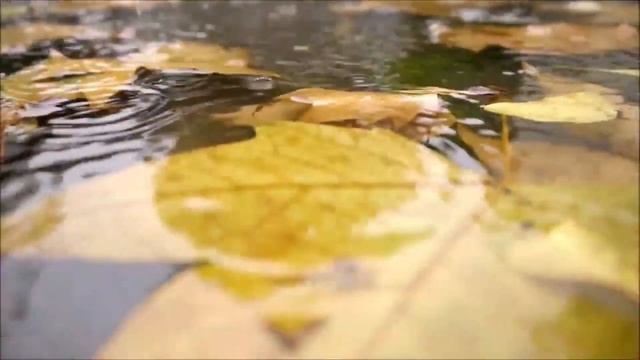 Песня Юлии Началовой "Герой не моего романа" в исполнении В. Ястремской смотреть онлайн