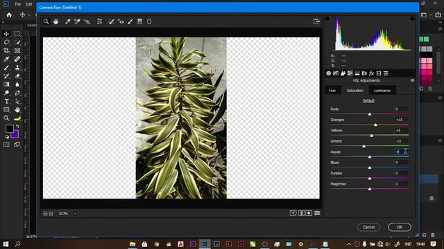 How To Edit Photo Filter (Adjust Color) With Adobe Camera Raw In Photoshop | Tutorial смотреть онлайн