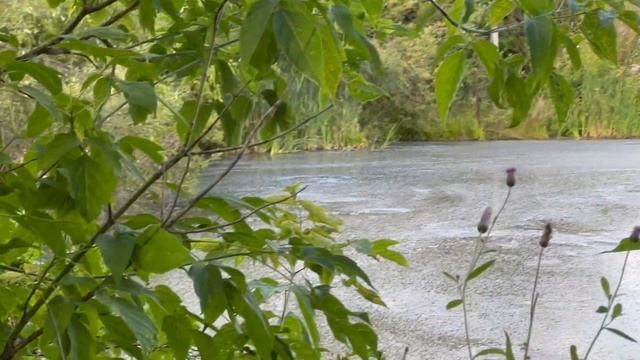 Слив сточных вод с бумажной фабрики в Мурыгино. смотреть онлайн