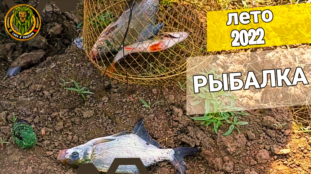 Фидерная рыбалка летом 2022 Рыбалка на фидер смотреть онлайн