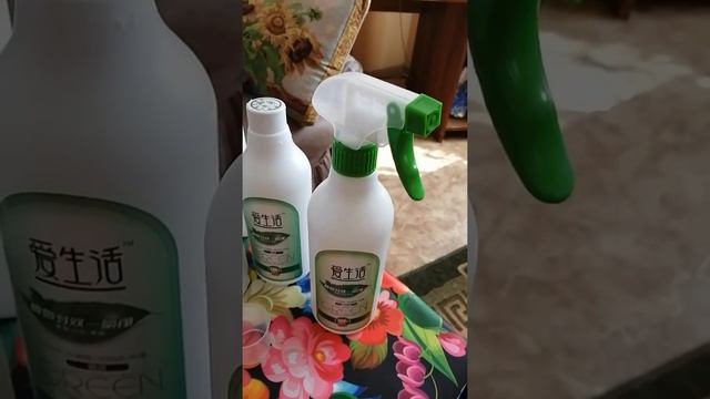 Отправить смотреть онлайн