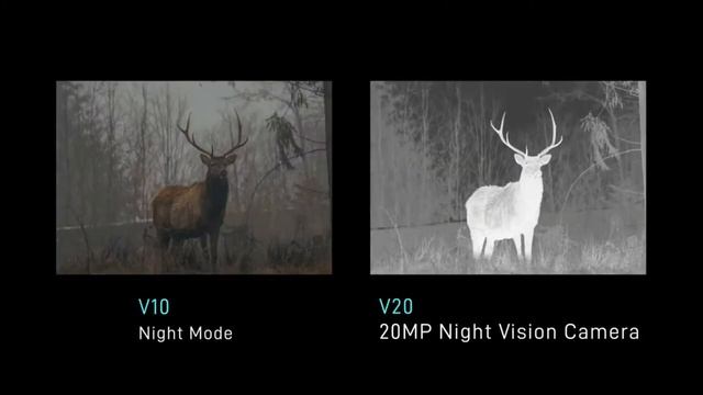 DOOGEE V10 смартфон Vs DOOGEE V20 2022, конфеты, первый по-настоящему обзор