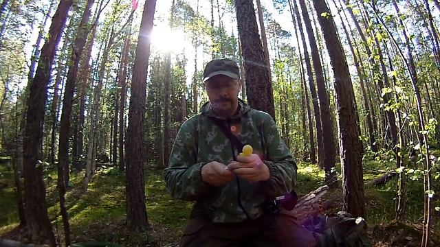 Средство от комаров (выход в лес и средство от комаров) смотреть онлайн