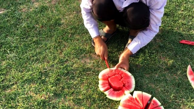 Жарим картошку в гарах на природе / Fry potatoes in garages in nature смотреть онлайн