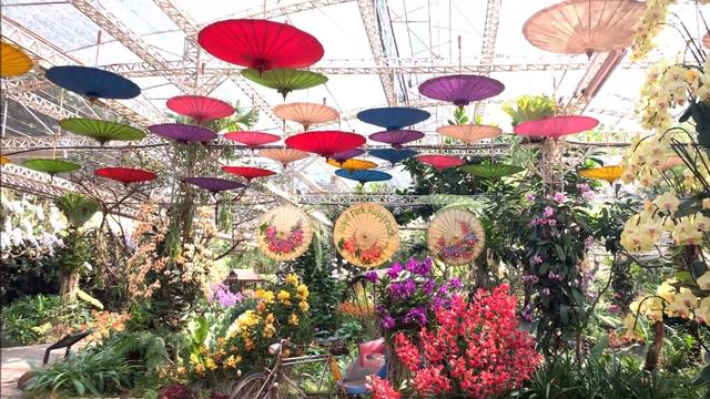 Beautiful Orchid Garden смотреть онлайн