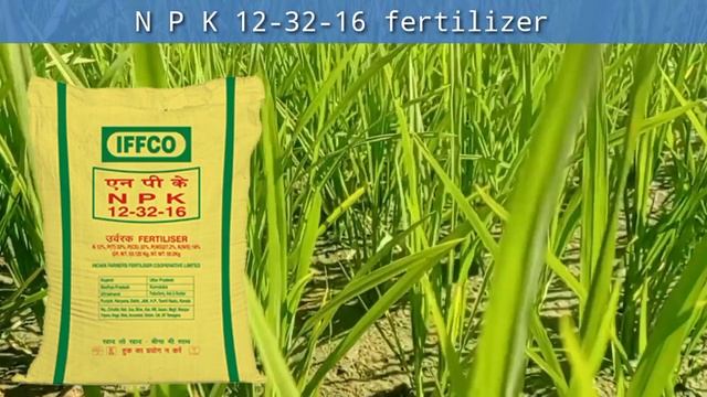 Iffco N P K 12 32 16 ఎరువు వివరాలు | 12-32-16 Fertilizer uses, nitrogen, potash смотреть онлайн