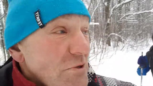 Как узнать породу медведя,,,😁😁😁 смотреть онлайн