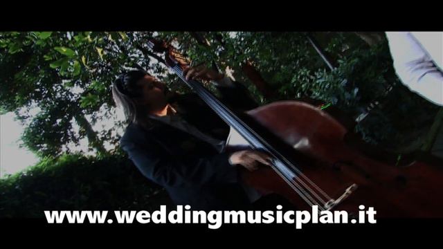 Wedding Music Plan - Quisaz quisaz quisaz - acoustic jazz trio смотреть онлайн