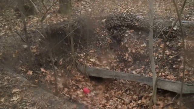 Ориентирование Запорожье Левое Весеннее первенство города 21.03. 2021 смотреть онлайн