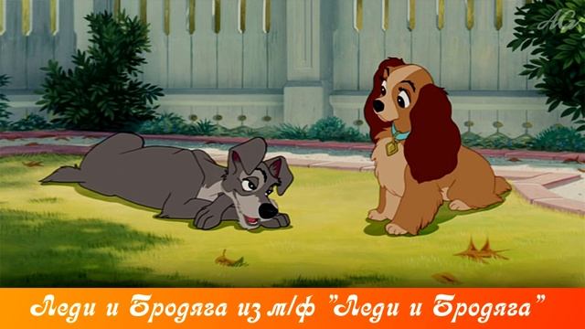 Если бы герои Диснея СТАЛИ ЛЮДЬМИ! Животные ДИСНЕЯ В ОБРАЗЕ ЖИВЫХ ЛЮДЕЙ! смотреть онлайн