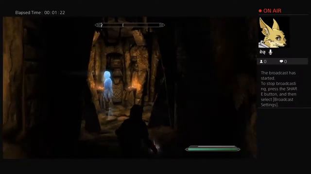 Skyrim bards college and furry shit смотреть онлайн
