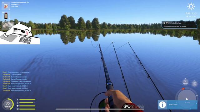 Котик хочет рыбки ))) смотреть онлайн