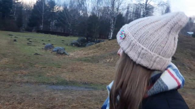 Минское Капище | Камень ДЗЕД, Дуб ВОЛАТ и их судьба | Что с капищем сейчас? | Парк камней в Уручье смотреть онлайн