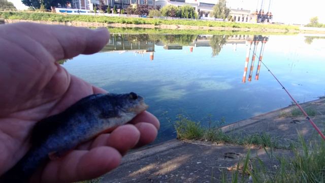 Окунек на отводном канале. смотреть онлайн