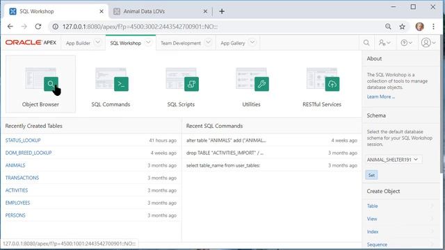 APEX 19.1 09 Add data to a static or a dynamic LOV. Clean data and enforce lowercase in a form. смотреть онлайн