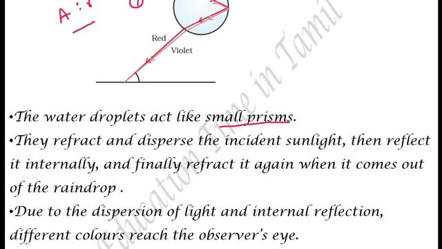 CBSE Class10 Science in Tamil Chapter-11 Part -7 Rainbow 🌈 formation смотреть онлайн