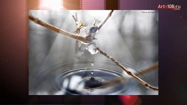 Фотограф Игорь Лаптев. Галерея "Фотоколлажи" смотреть онлайн