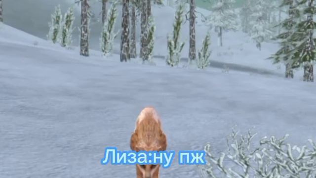 meme Сделай милое лицо смотреть онлайн