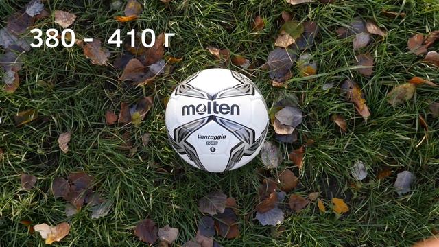 Футбольный мяч Molten F5V1700-K