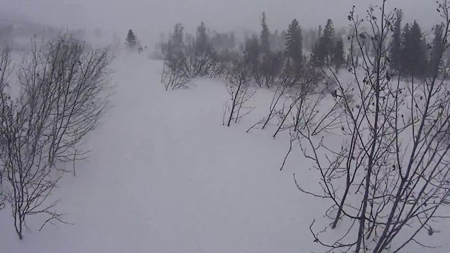 Ергаки 2016 февраль катаем на полянке пробка в лесу смотреть онлайн