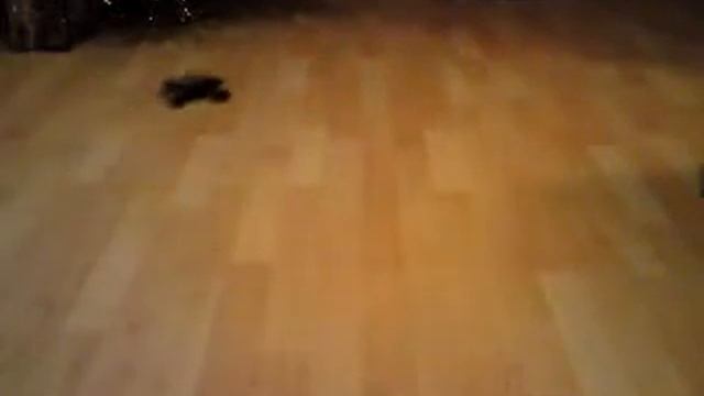 Custom 4WD Micro RC circle drift смотреть онлайн