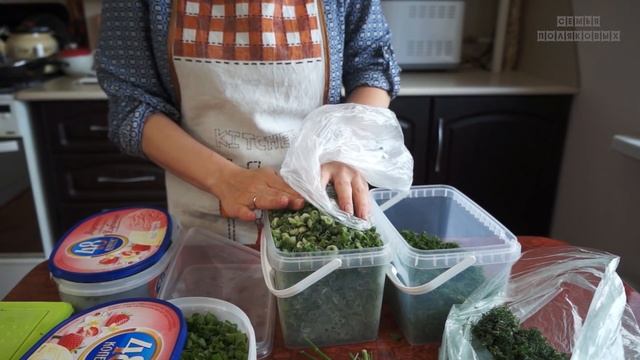 ЗАМОРОЗКА ЗЕЛЕНИ на зиму. Зелёный лук и укроп | СВЕЖАЯ ЗЕЛЕНЬ НА СТОЛЕ КРУГЛЫЙ ГОД смотреть онлайн