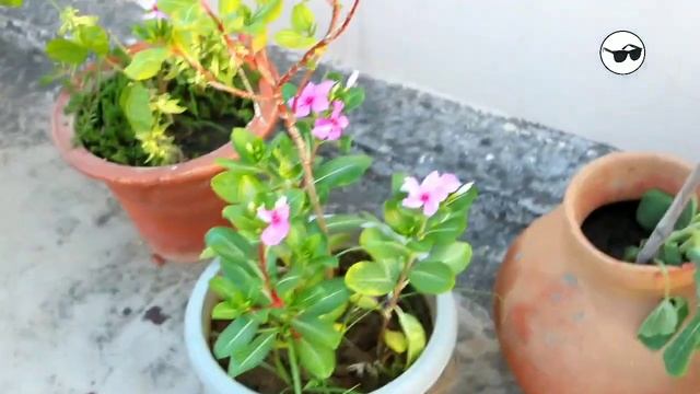 Canon 1300d DSLR video Recording Test ?? смотреть онлайн