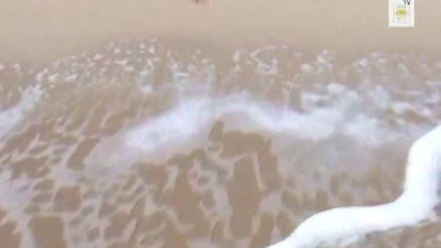 Северный Кипр.Черепаший пляж на Карпазе смотреть онлайн