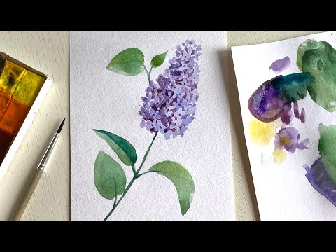 Рисуем сирень акварелью. Поэтапное рисование для начинающих смотреть онлайн