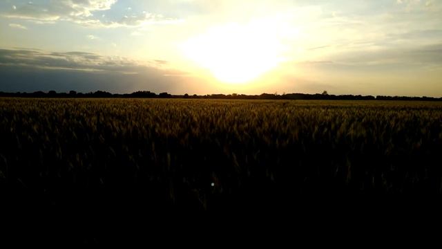 созидательный анабиоз #2 смотреть онлайн