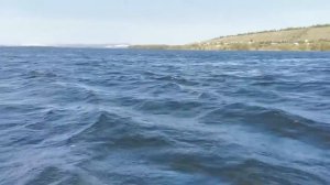 Новый Garmin Striker VIVID 7SV - мал, да удал